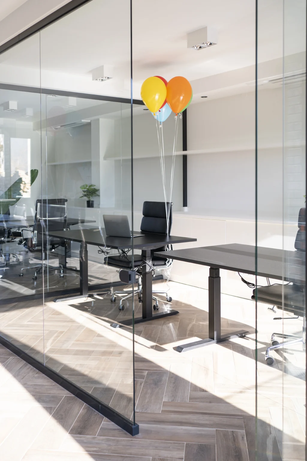 Glazing Partitions 3 Glazing Partitions services